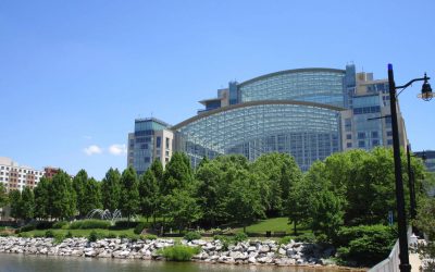 Service Excellence – BOMA International Conference Comments 2016