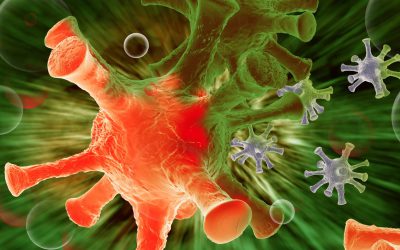 ORGANISMS AND ORGANISATIONS