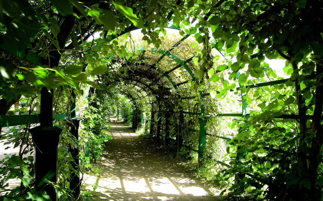 Leadership Forum March 2014 Recruiting the best Non-Executive Directors