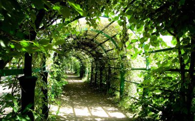 Leadership Forum March 2014 Recruiting the best Non-Executive Directors