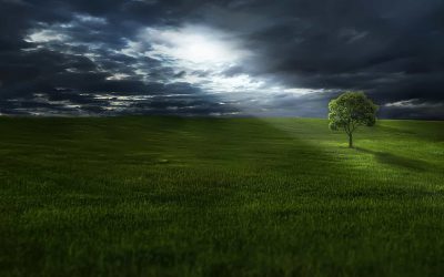 Inspirational People